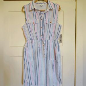 Time and Tru Multicolor Striped Dress
